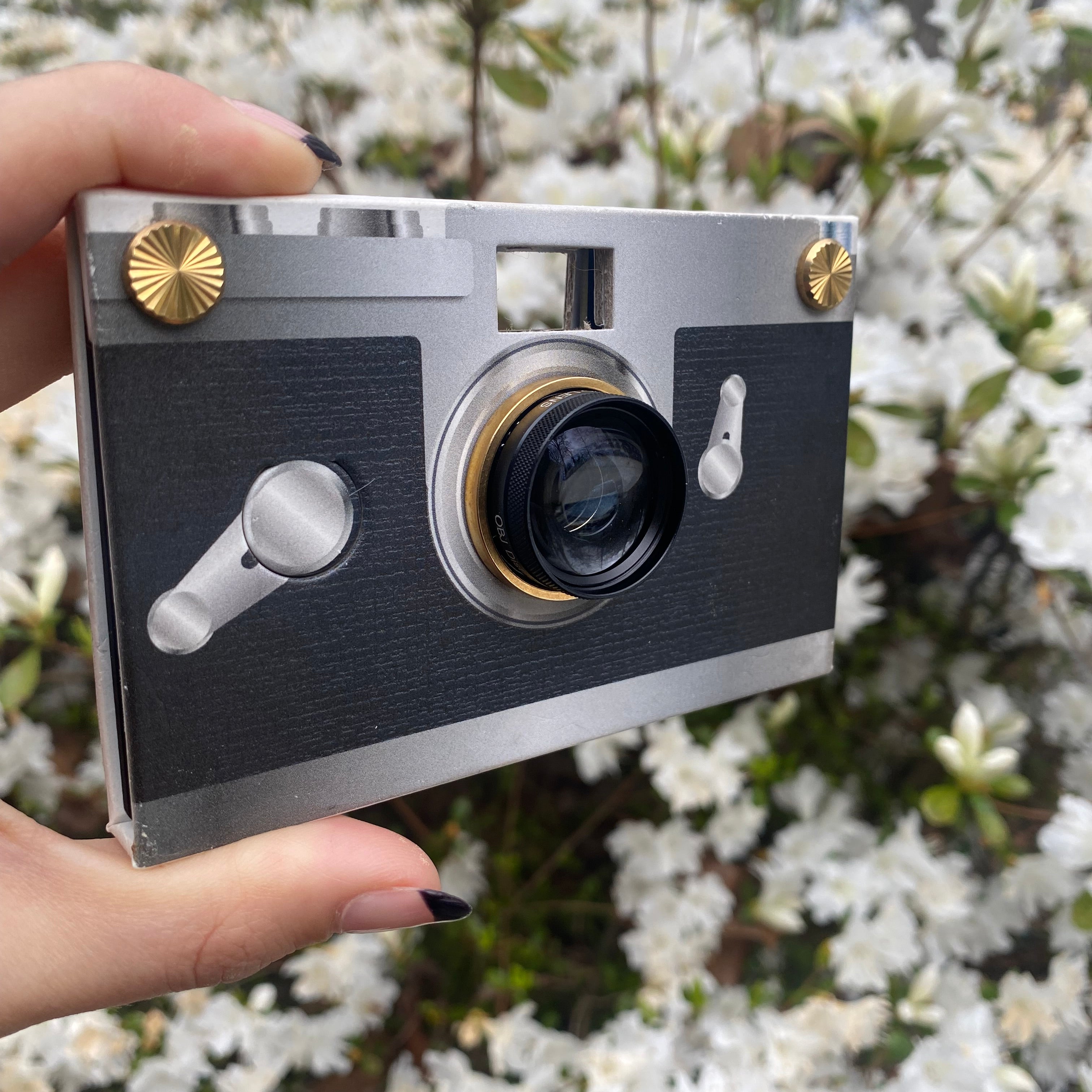 Using Your Paper Shoot to Capture Springtime - Paper Shoot Camera