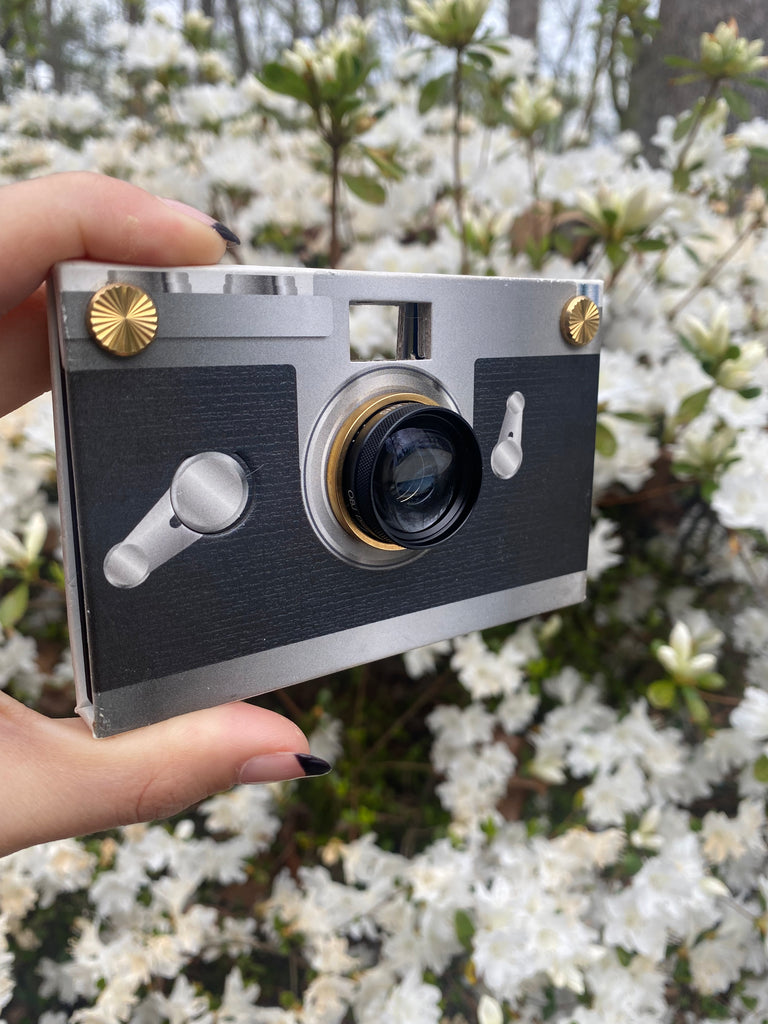 Using Your Paper Shoot to Capture Springtime - Paper Shoot Camera