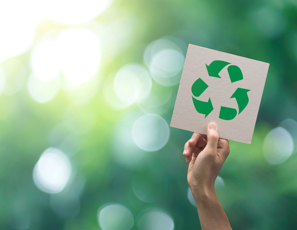 Top 5 Reasons Why There are More Eco-Friendly Products